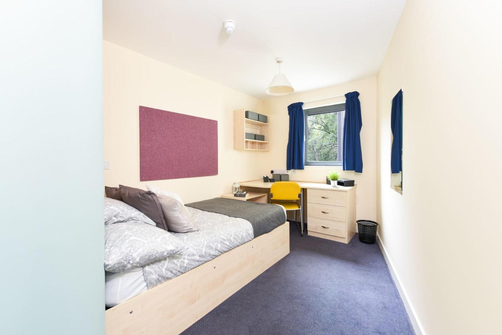 Apartment Student Spot In Gibson Street