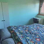 Braid Room