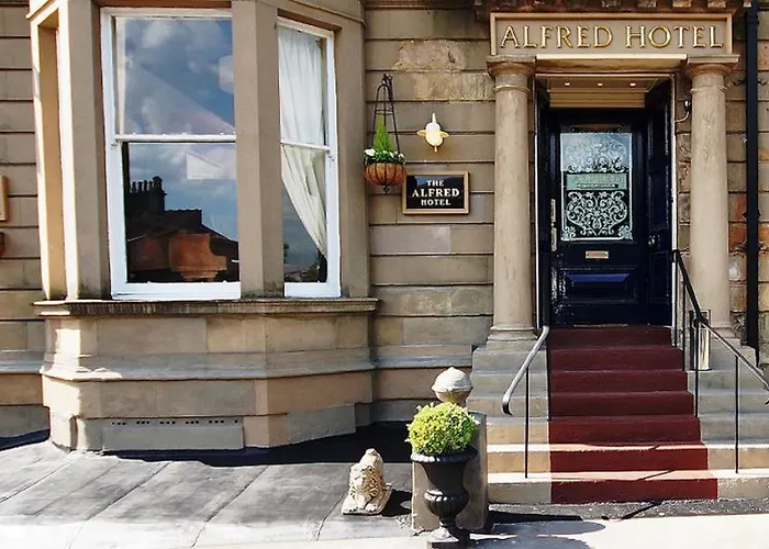 The Alfred