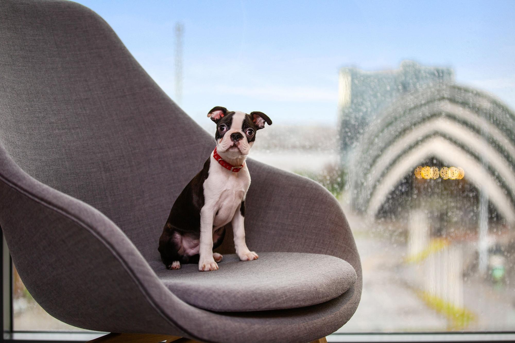 Radisson Red Hotel, 4* Glasgow
