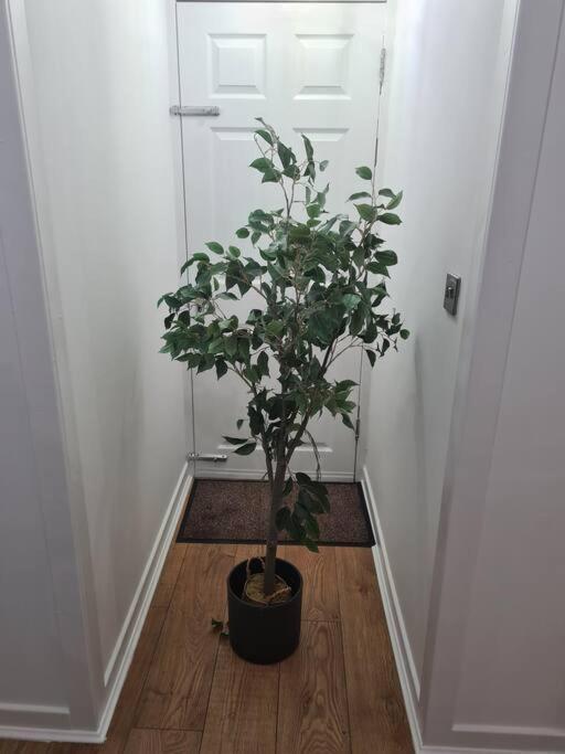 Lovely 2 Bedroom Garden Flat In Trendy West End * Glasgow