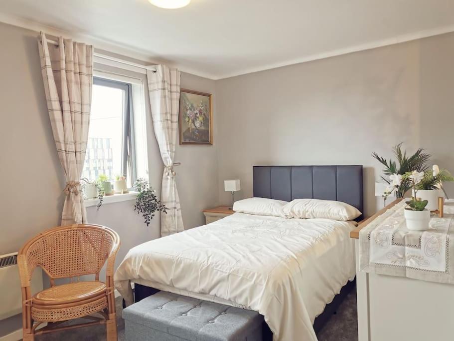 Lovely Studio Flat In Centre Apartment