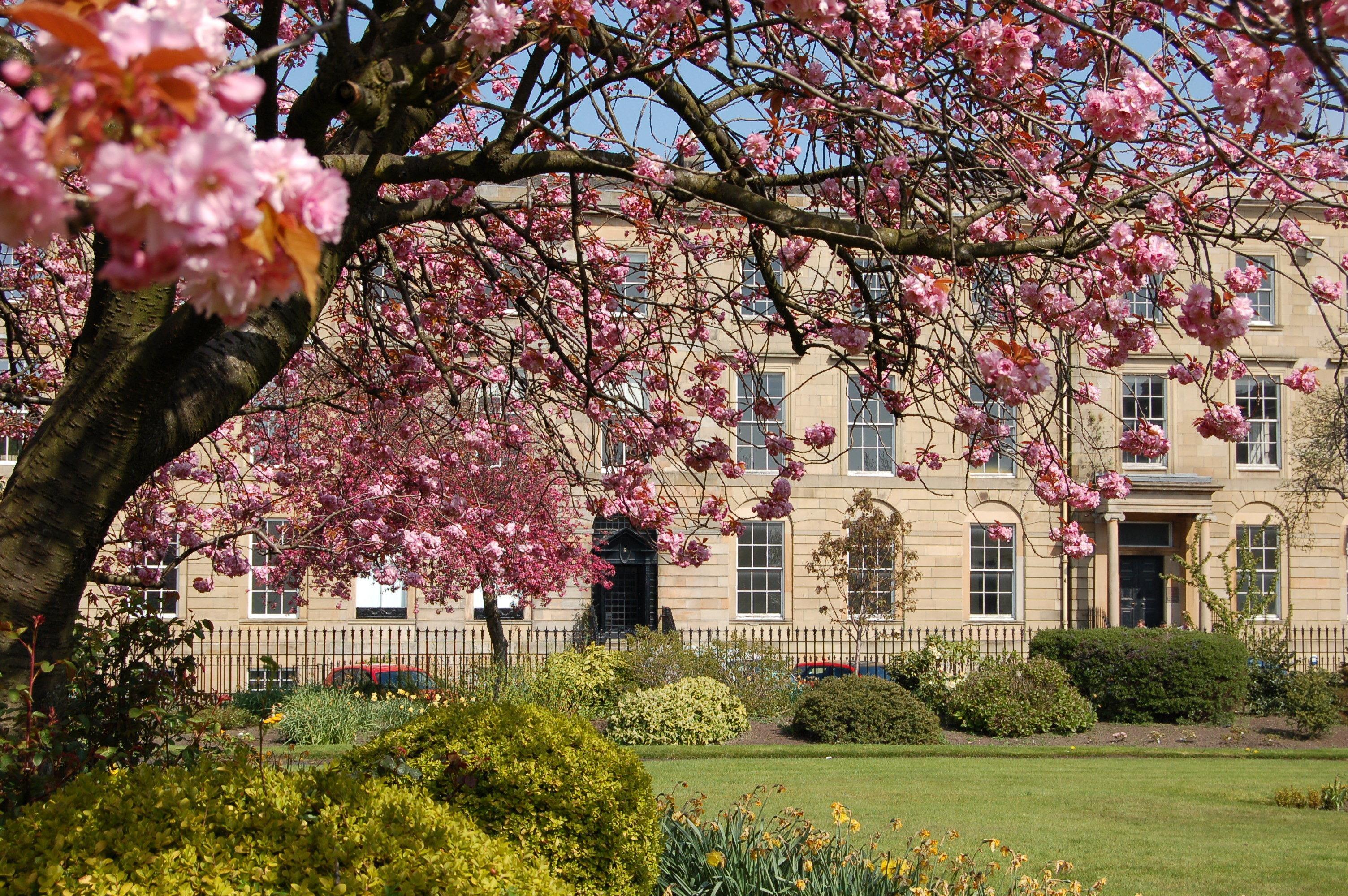Kimpton Blythswood Square & By Ihg Glasgow