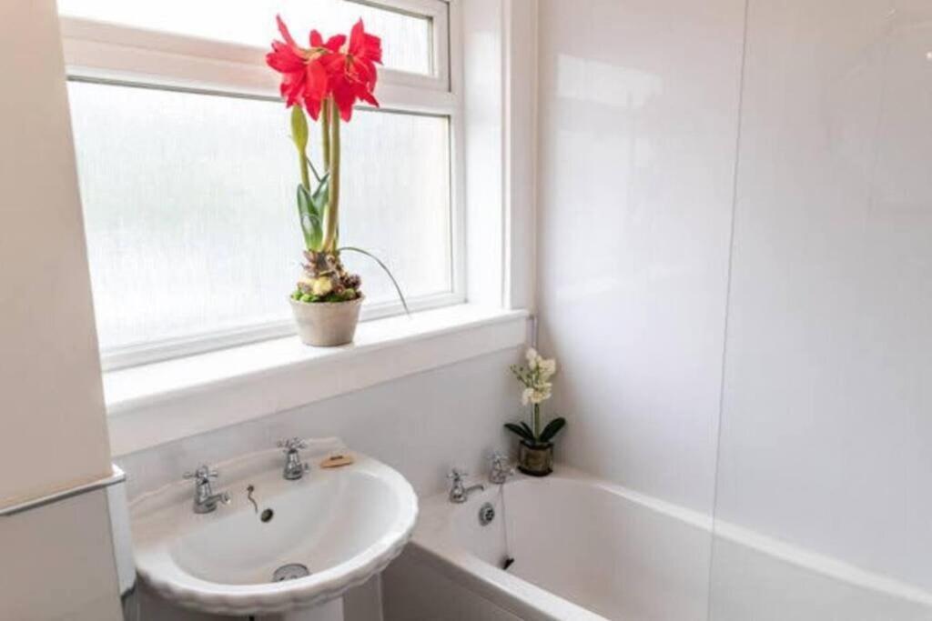 Apartment Cosy 1 Bed With Parking In City Centre Glasgow