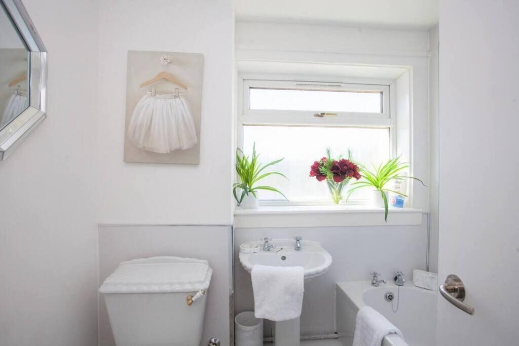 Cosy 1 Bed With Parking In City Centre Apartment
