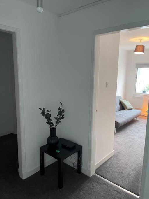 Apartment Modern 2 Bedroom City
