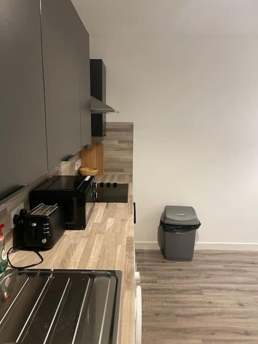 Modern 2 Bedroom City Apartment