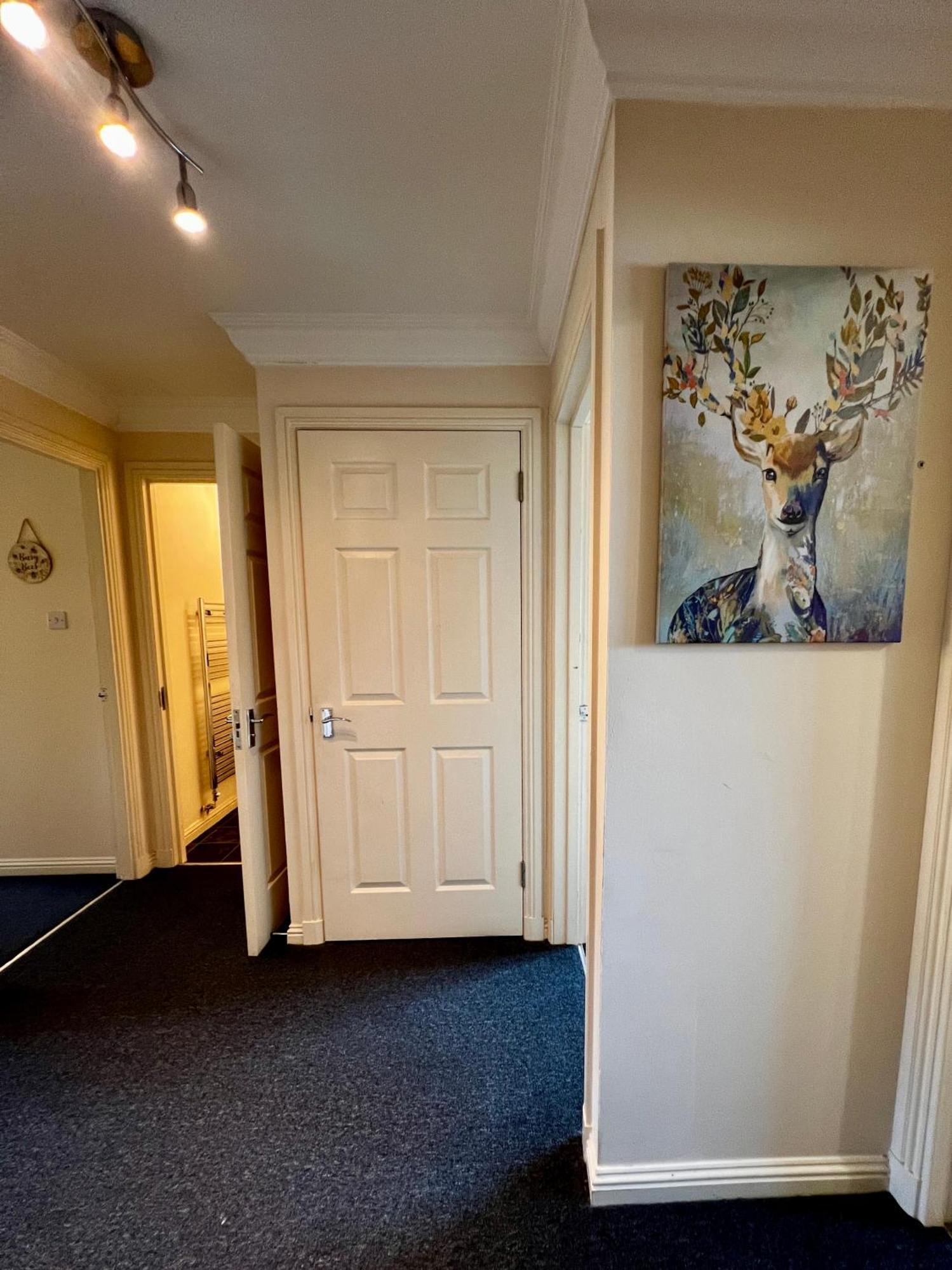 Stylish Modern Flat With Juliet Balcony & Parking Apartment