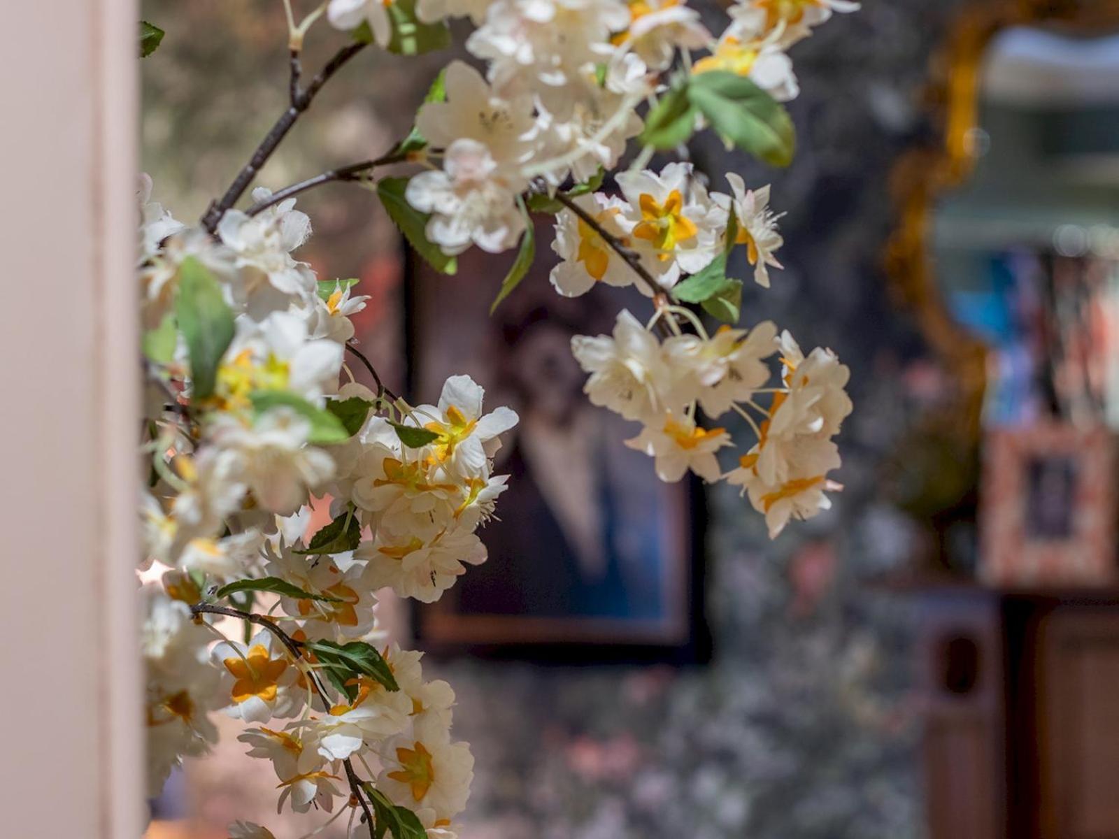 Pass The Keys Magical Mews Hideaway: Quirky Experience Holiday home *