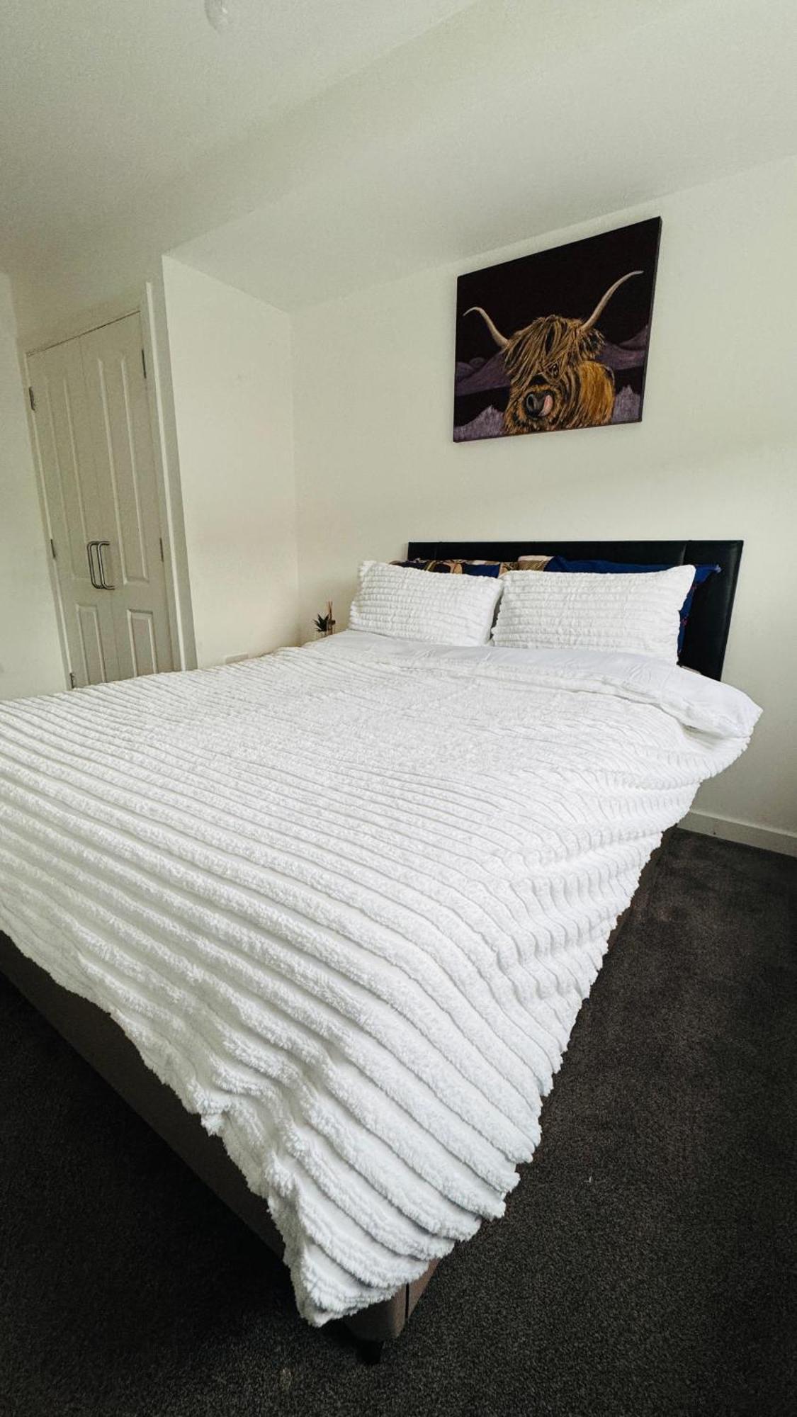Homestay Cozy In Centre Glasgow