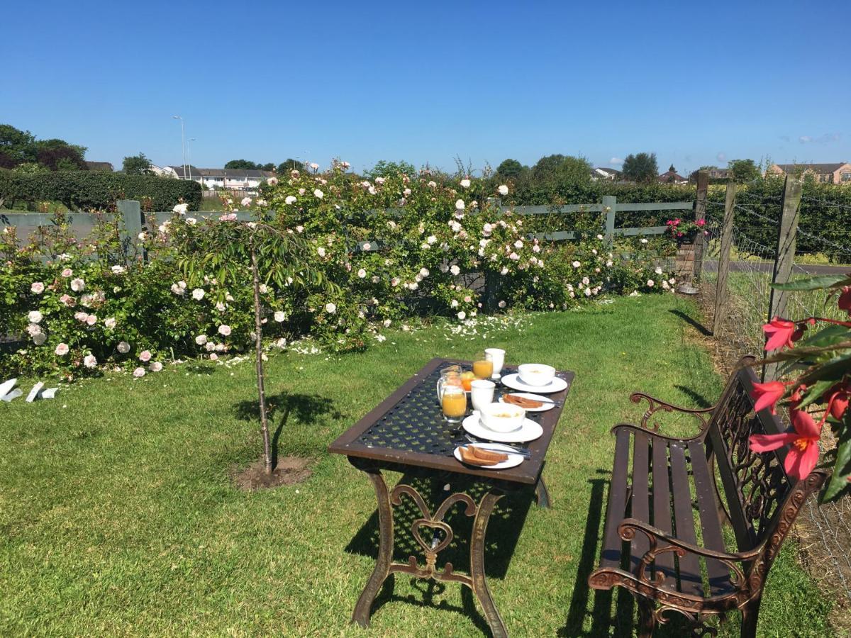 Auchenlea Lodge *