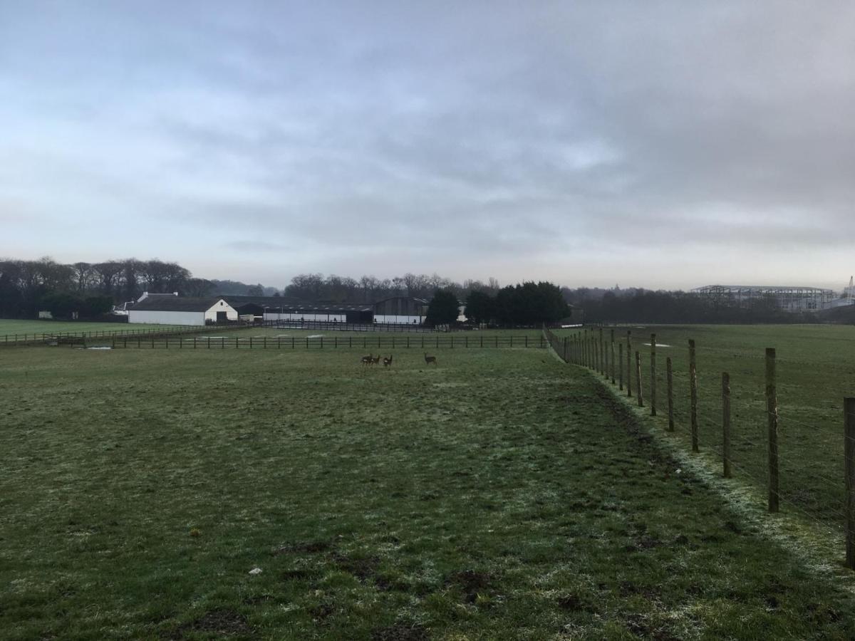 Lodge Auchenlea