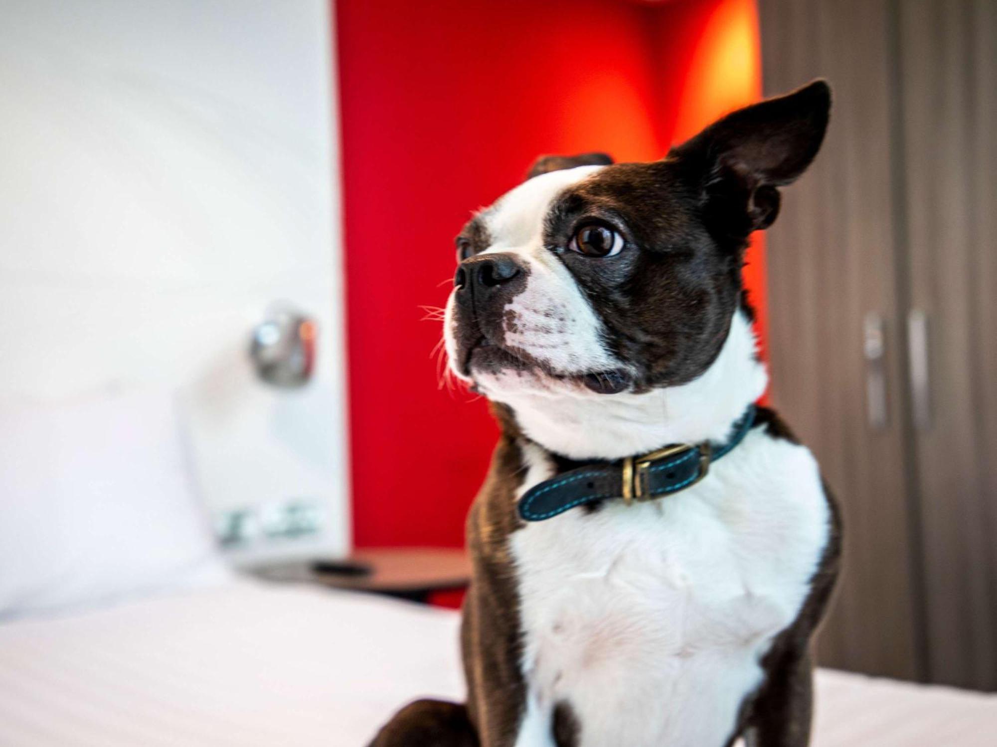 Hotel Ibis Styles