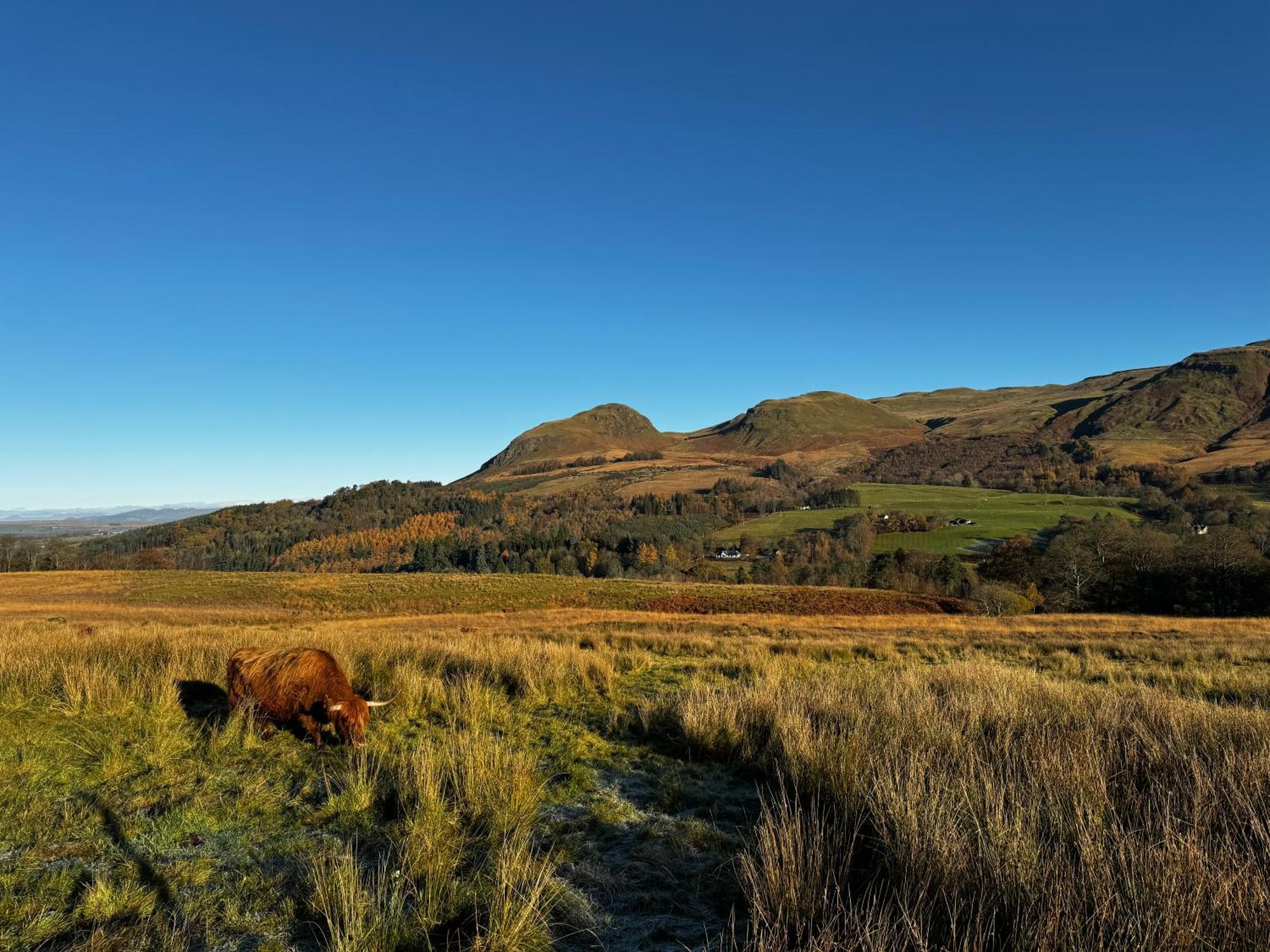The West Highland Way Pitches 5*